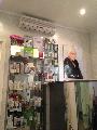 увеличить Фиалка в Кронштадте
